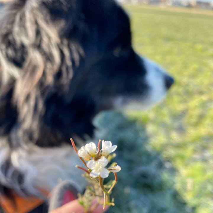 0b981b46 4f78 4181 8621 05b2607dc4fe 1612830397953