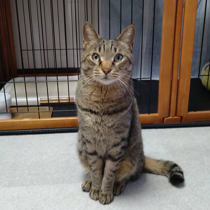 0b985321 907b 4df0 9d85 4b088288350d 1649755228472