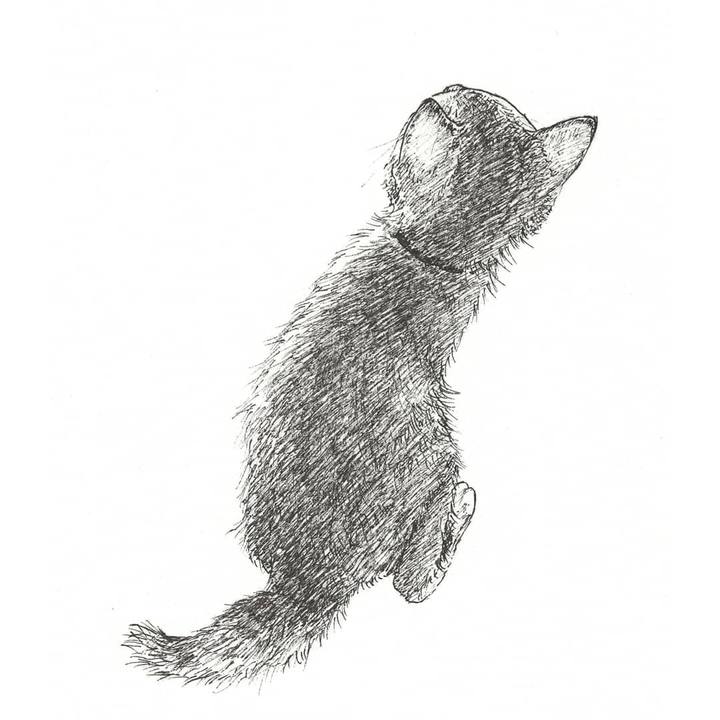 0b985ae1 1415 4f8e a136 62f5e8ce9df3 1560431528425