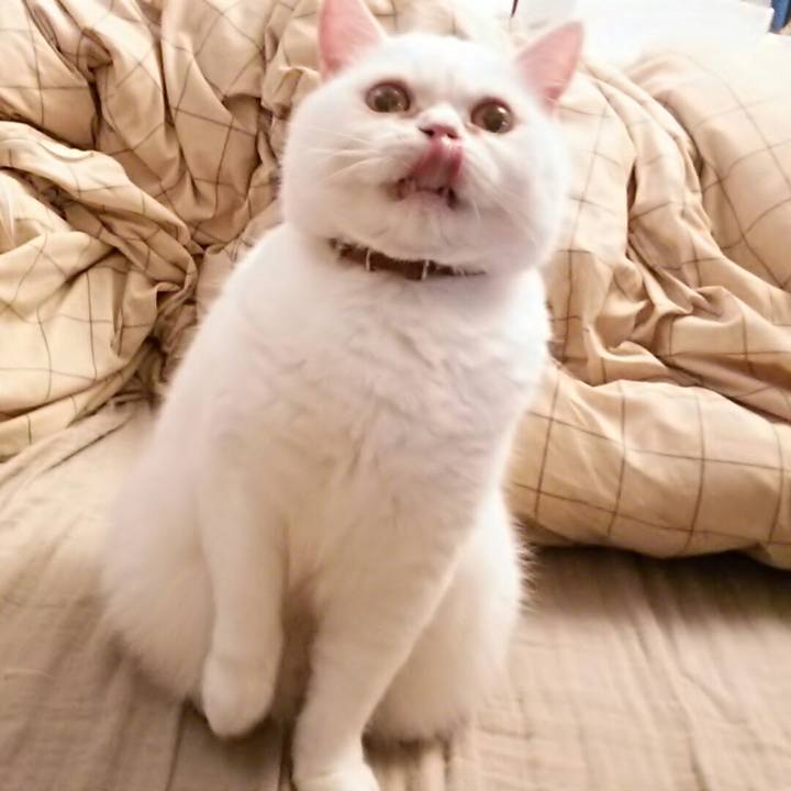 0b989f6f 6445 49eb a5ce 1195859e7e24 1508631522116