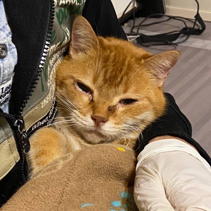 0b990a87 0c09 4dfd ae7f c37a48b83275 1606910950558