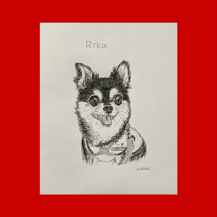 0b990d95 8501 4d0b 9abf d8e4cdf46441 1656468268074