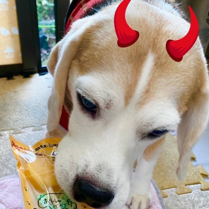 0b998815 b793 4491 a38d d37aee469835 1604127839098