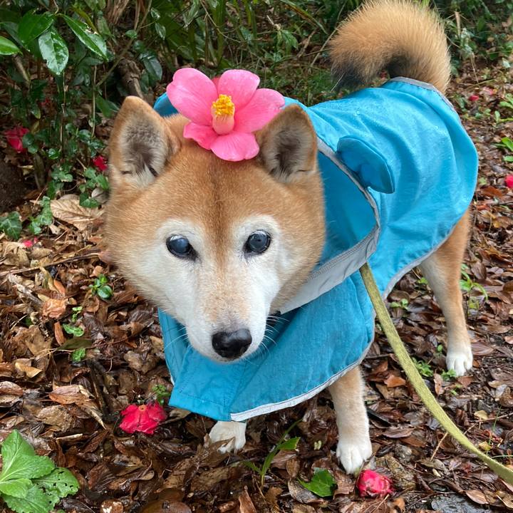 0b998be6 748d 440e a7e0 1b7b6ab3516f 1708847354221