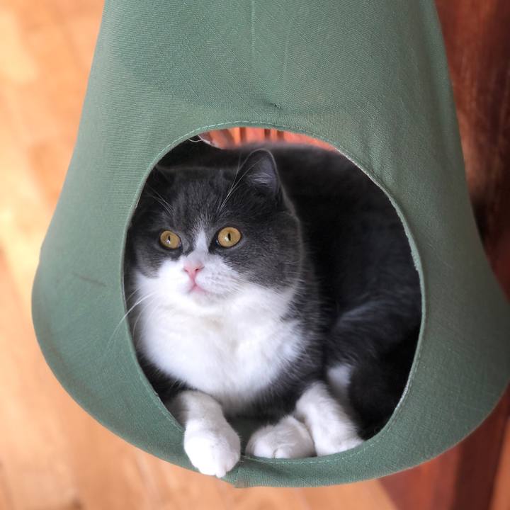 0b99ef89 e2d9 4b51 9798 e7c9b39b5764 1619743362806