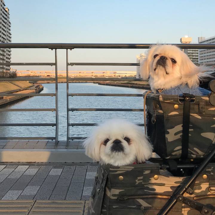 0b99fdc4 bd7a 4f60 a1a7 0d6eabae6b9a 1520826635163