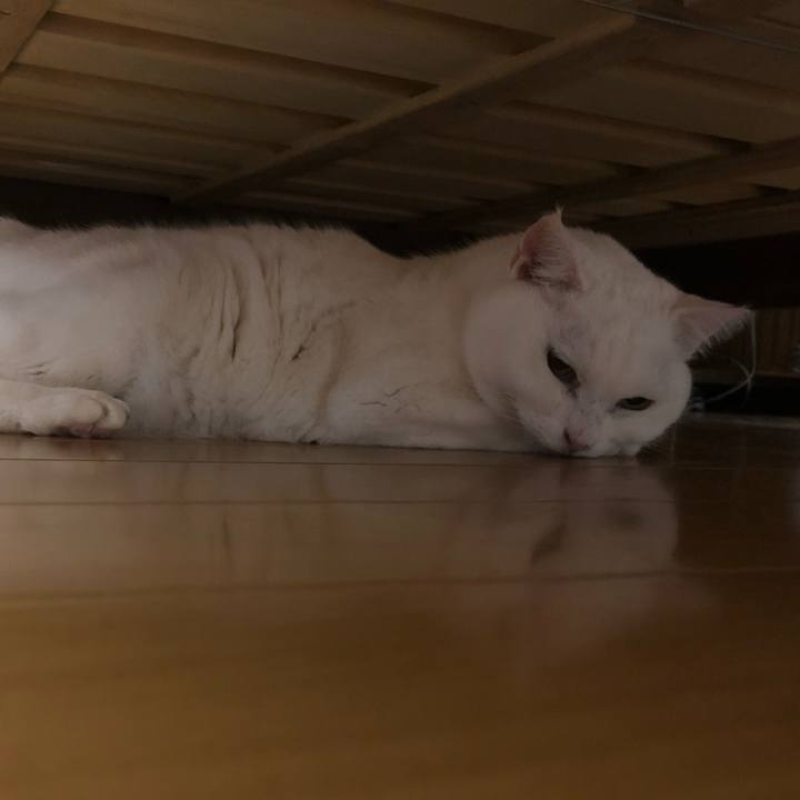 0b9a1b6d 1d15 4101 ac5d 6d71f813c3c6 1581941625108