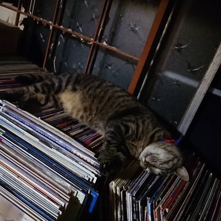 0b9a3f25 ffe3 4622 b15e 91298eb9983e 1656422781808