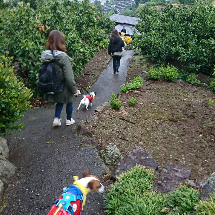 0b9a817f a655 4e35 a2a1 01439b7dad6d 1556401071409