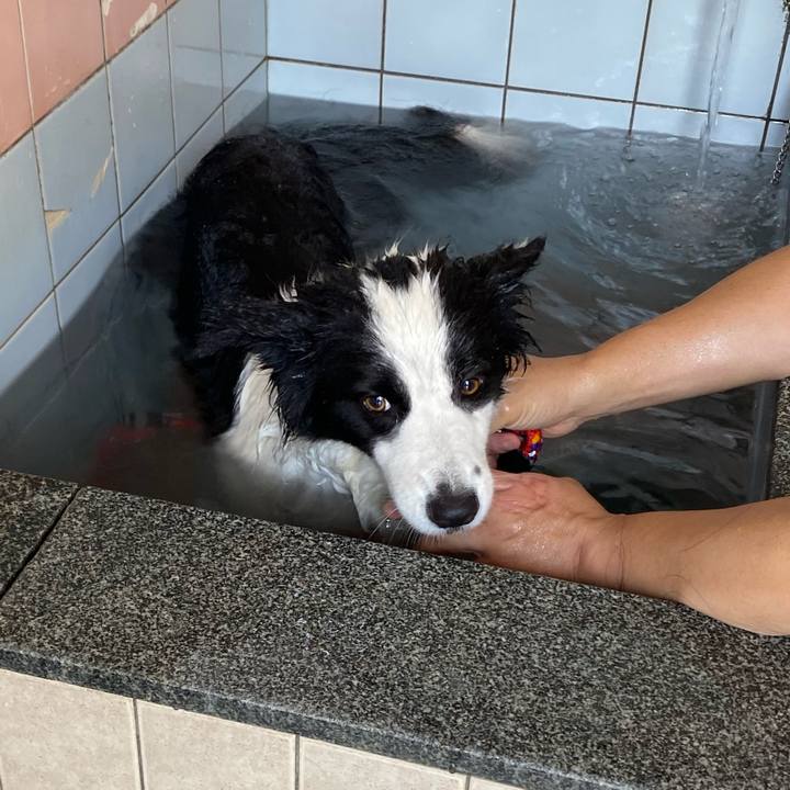 0b9a9712 8d75 4189 8cdc 5f891ef57c77 1687263003341