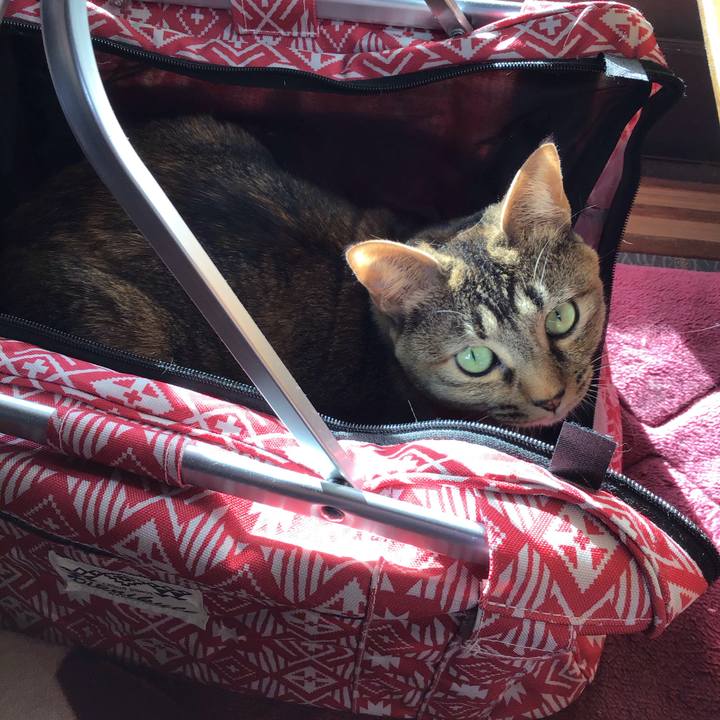 0b9abf7c 5446 4489 8274 97d0e299041d 1611212830256