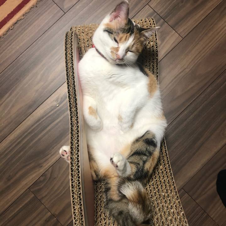 0b9ad0a8 1ce4 4643 aeaa d1f61e5b683d 1576500143889