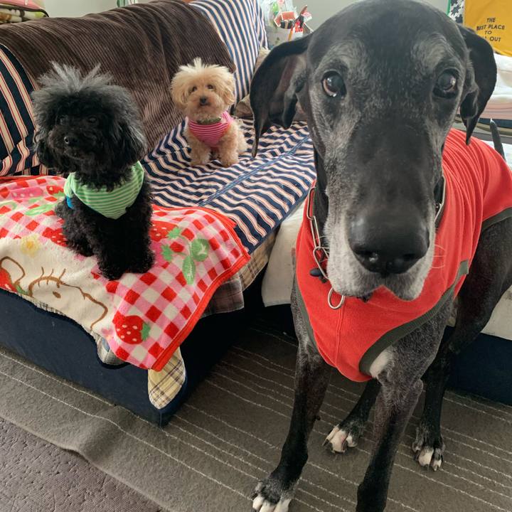 0b9adeea 4c33 4e5c b5d9 9998f739912a 1588026888135