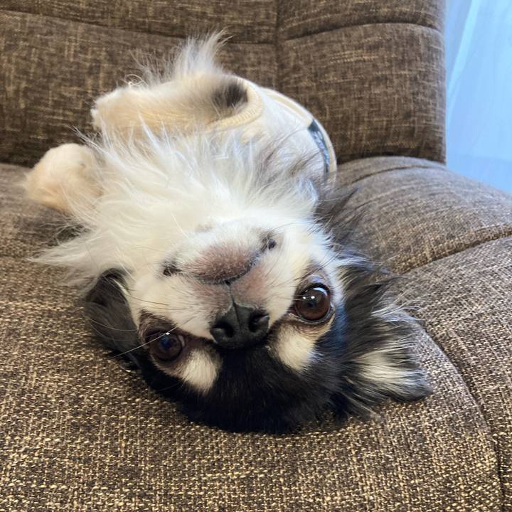 0b9b2566 2c37 48b9 a45c 8b74a2921b75 1704538692319