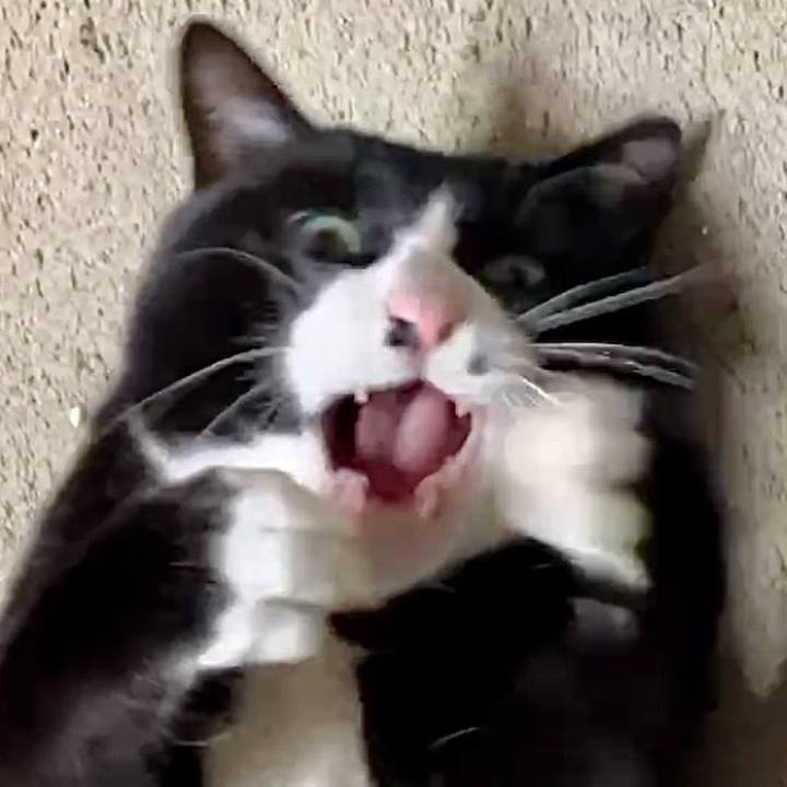 0b9b2613 247d 4b28 91c2 5d6137ebfa2e 1739585505059