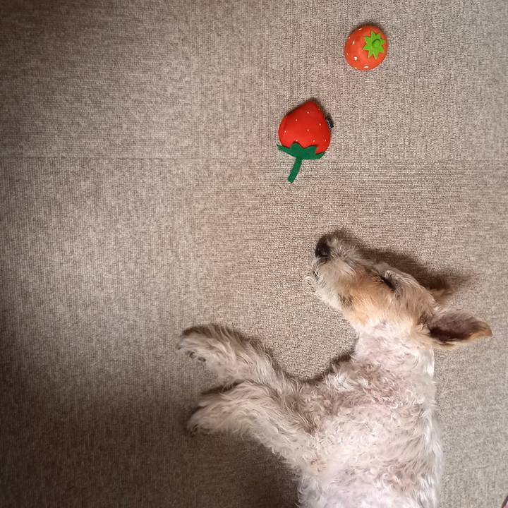 0b9b65ba ccd6 4162 a51e 9584c82725e0 1628687847429