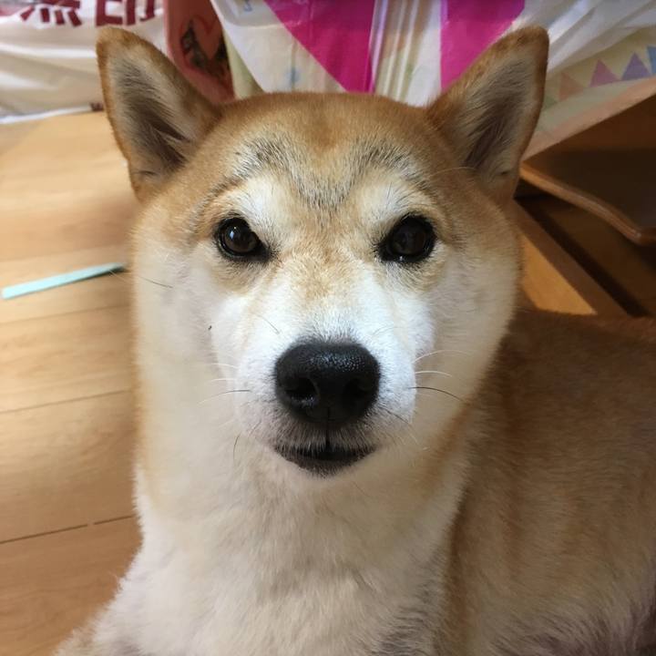 0b9b728a 8456 45be b41b d5e7f8888edd 1568794049308