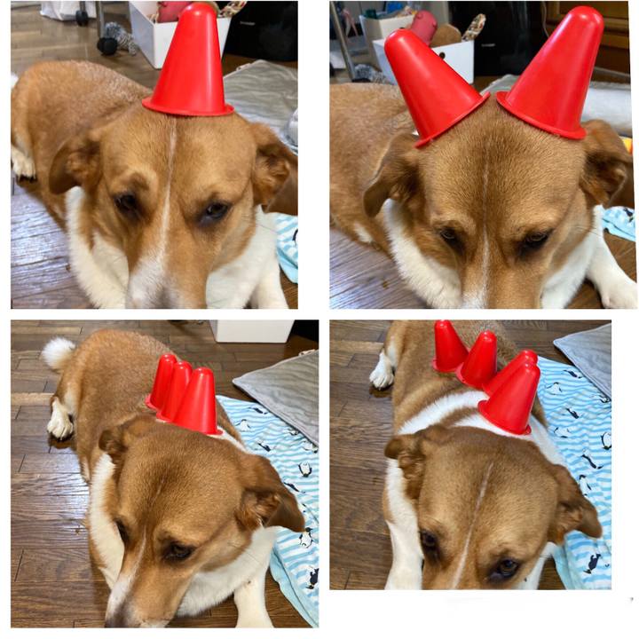 0b9b9413 4b72 4001 ae61 cdf0cc7ebb68 1657756743180