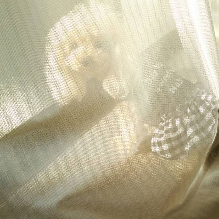 0b9badf1 2e22 4052 a570 96a00ce6d20d 1538537771087