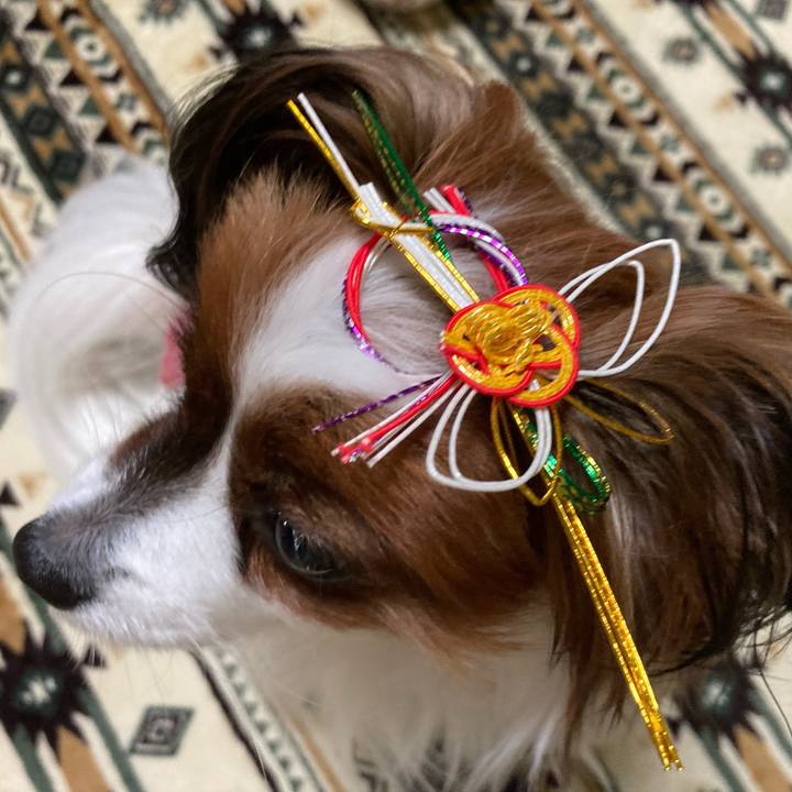 0b9bd50a 838a 4547 8f61 69ca167c077d 1634890094368