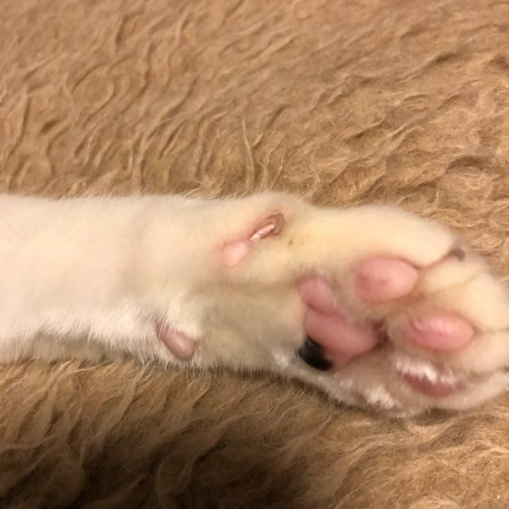 0b9bd791 f92b 4f15 be28 361a21988b52 1581009127637