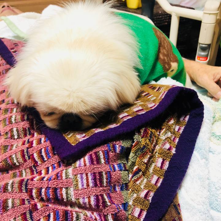 0b9bd7be 3679 4ad4 9b97 9455200f9d08 1549294501214