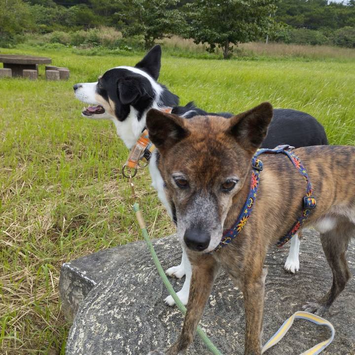 0b9c05ff 084b 4645 a7c1 a2f678a522a4 1732114902606