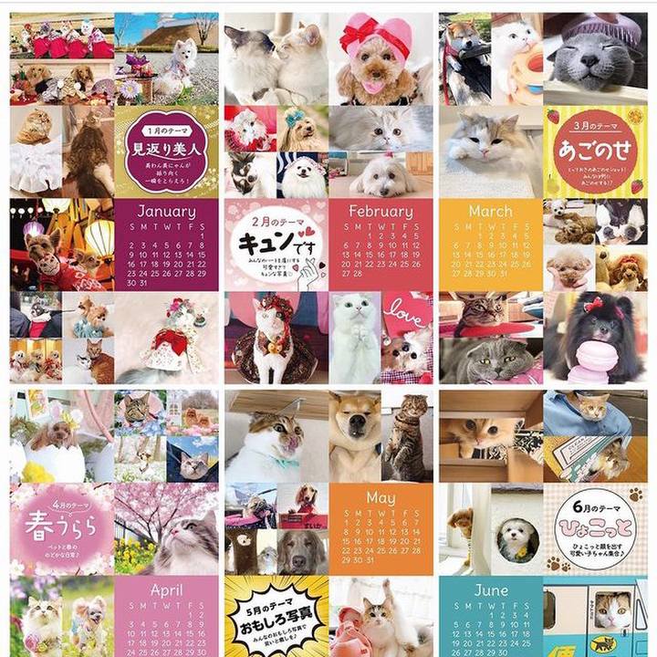 0b9c23fb 6236 4ee4 bc1b 2dd481cd312c 1640767815036