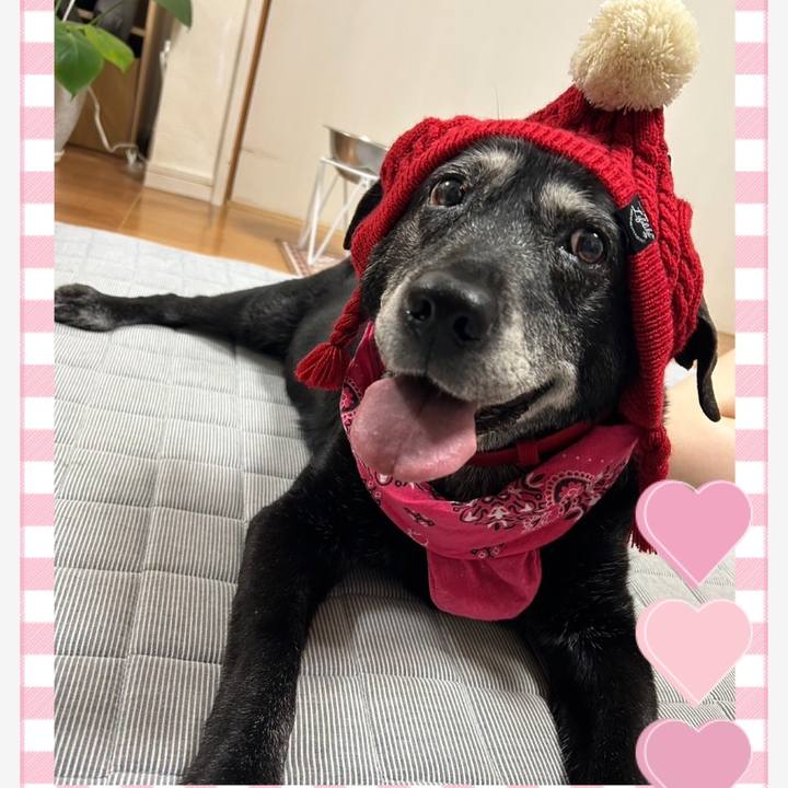 0b9c298c fb23 4e32 8e09 45a7ac20f146 1727787347514