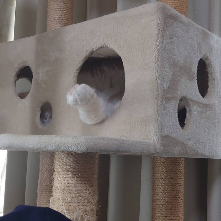 0b9c319f 7f6b 4ec8 a3fe 956a597de2c3 1678329023907