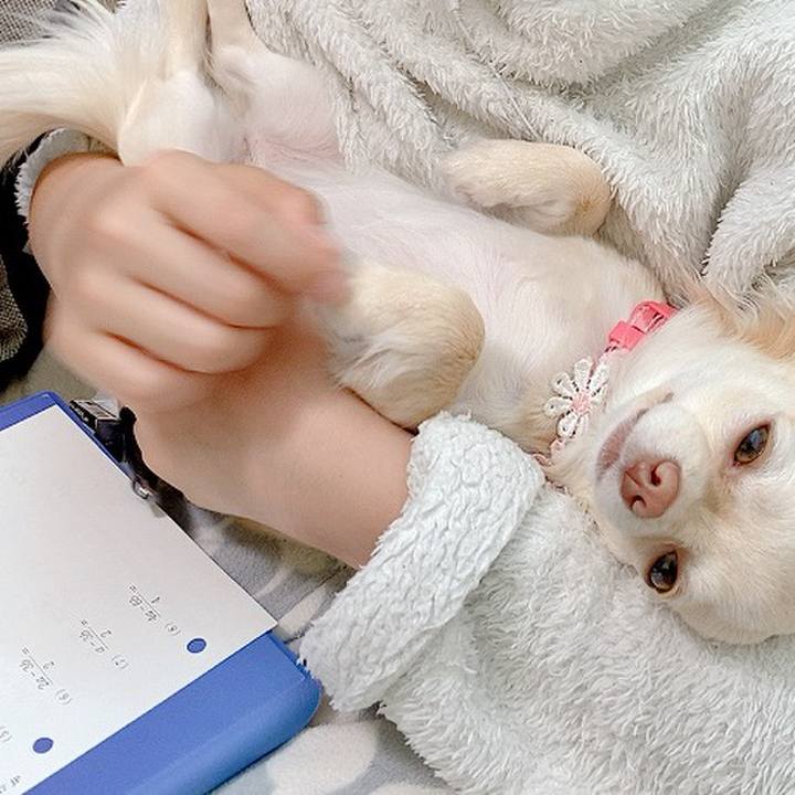 0b9c3baa 6345 4602 b581 56b77f2694d2 1616220364994