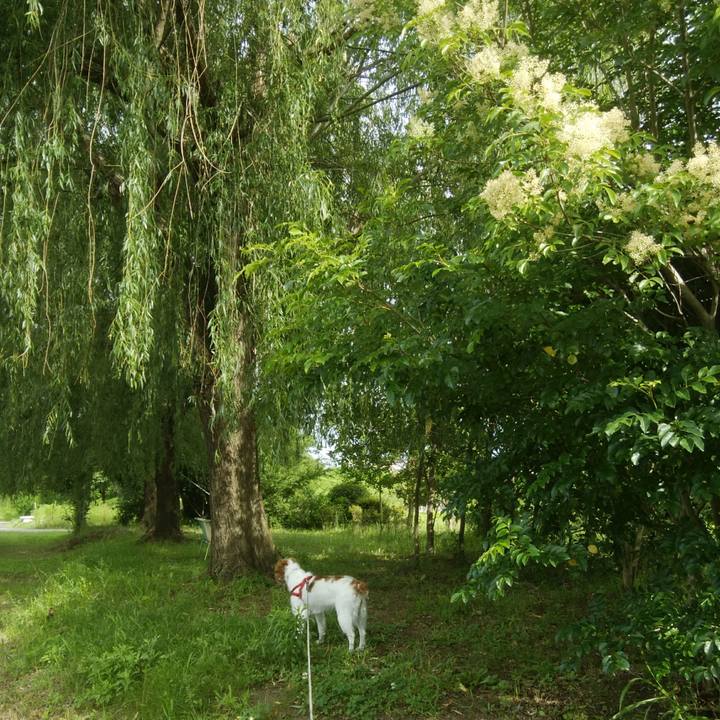 0b9c46d2 c787 48eb 9fba 5b6549e074ae 1530317970616