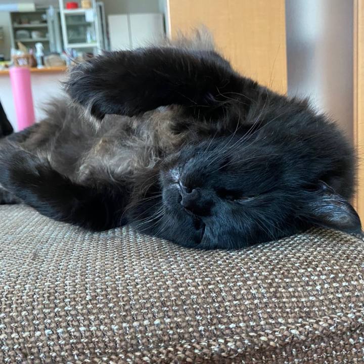 0b9c6b86 f893 4468 ae75 951d92f3be96 1611815887252