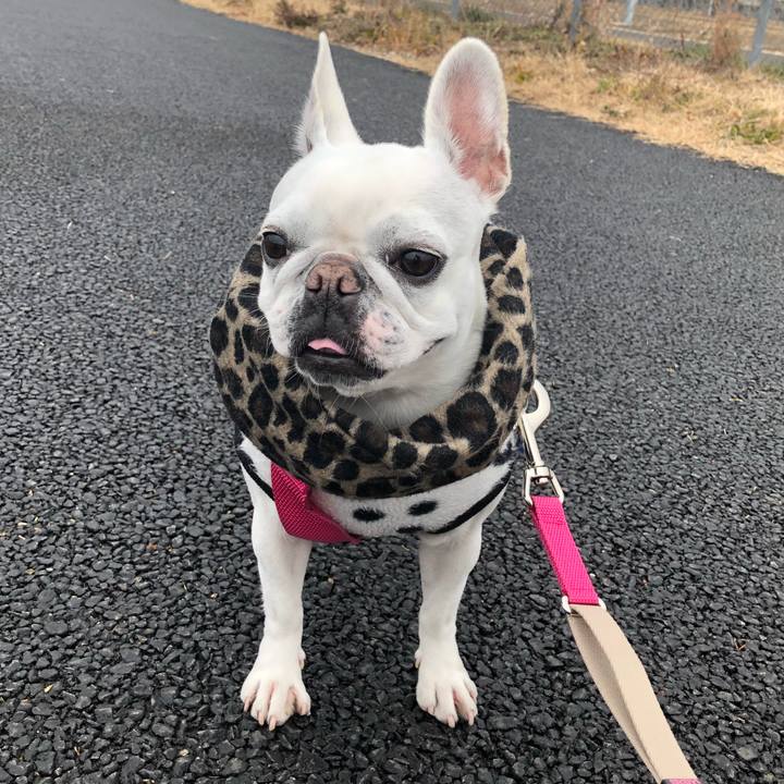 0b9ca64c 0423 4397 be00 887b24eb7166 1547267075555