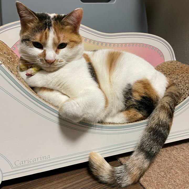 0b9cbfb7 6879 45aa 9ce0 22ee98223b05 1640096974619