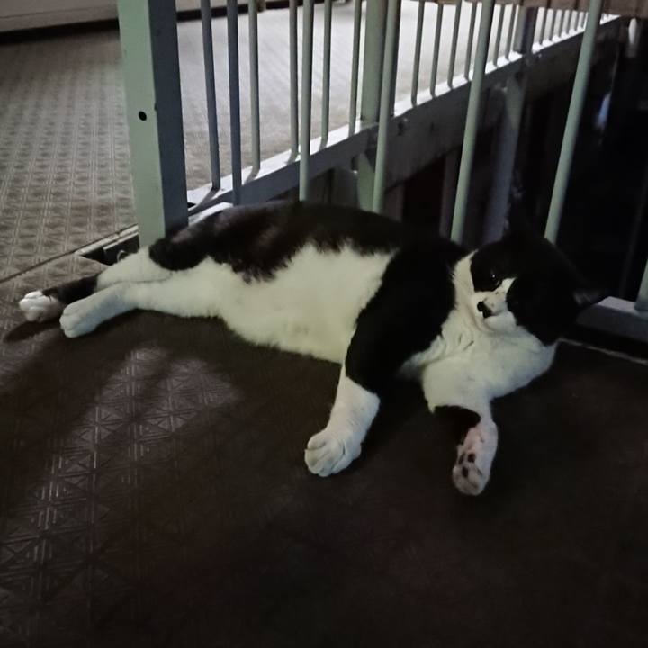 0b9d0680 aa48 47e0 ac42 7df3aca8711e 1532864986807