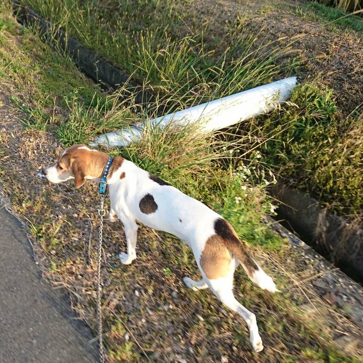 0b9d1940 1d09 402a b1ed 0f173b73392d 1570962053359