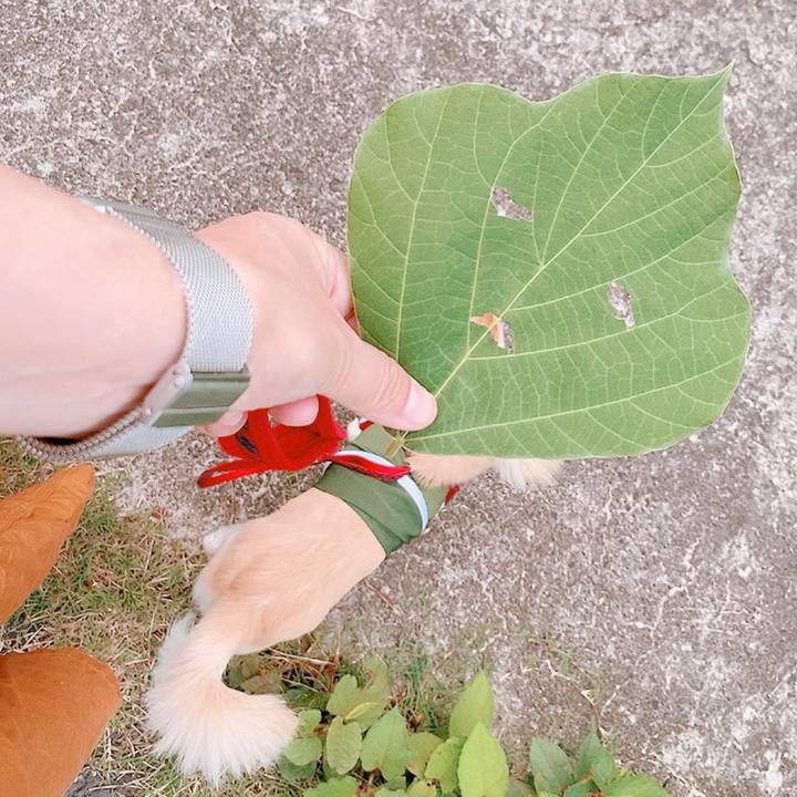 0b9d1dc7 f802 40cd 85e6 50e9a57d3f80 1625633506355