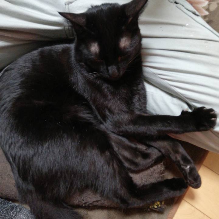 0b9d1dd0 5ab3 4281 82a9 0cf97750331d 1608675212182