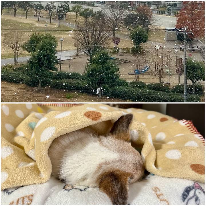 0b9d50fc f245 4a78 8e4c 6d1b110ce3d7 1734565266887