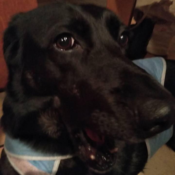 0b9d6b7e 71b8 4d5d b0c7 622b77f99191 1554987732610