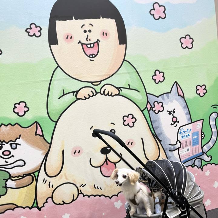 0b9d6ba9 2509 4daf 9f06 2068b65bf2fb 1727075490322