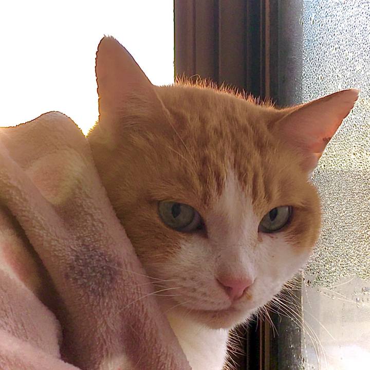 0b9d9986 5fbe 43b3 a135 74e1a9355124 1607483842470