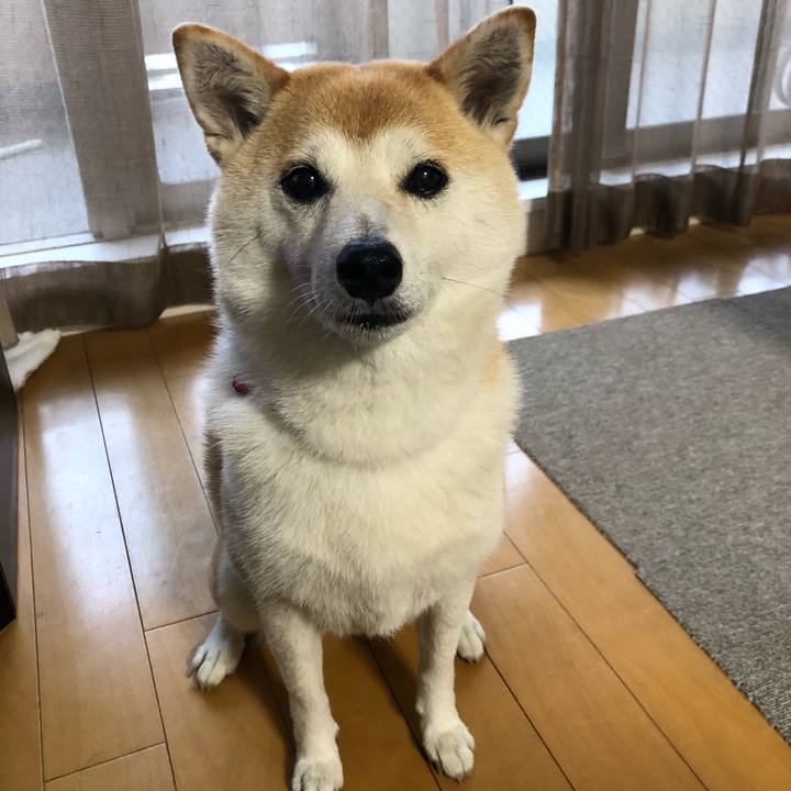 0b9d9f2c 7780 44f1 8964 ab75fa64beb2 1658093118931