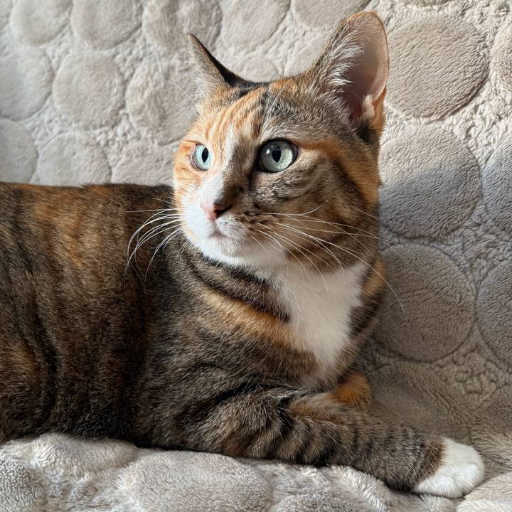 0b9da542 4ad5 4a43 b693 8b2cf3b3c29c 1768608244728