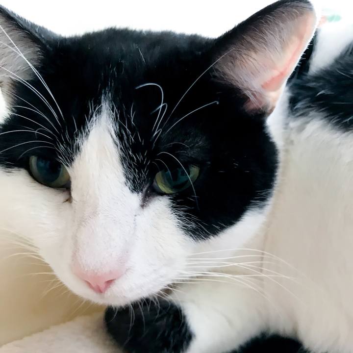 0b9dcbf7 ae3f 44b3 b460 0de1e477121f 1515195352911