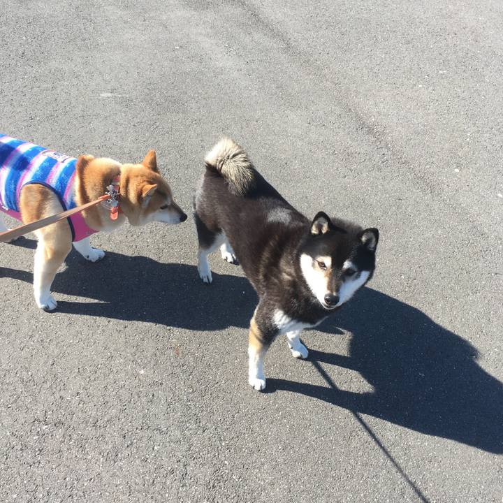 0b9ddc7d 1d27 489c 846c f6e4c187ea7d 1548132803628