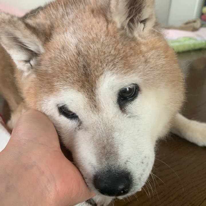 0b9ddd15 3ece 4944 8dd4 e2dfd76dc4ff 1655019827559