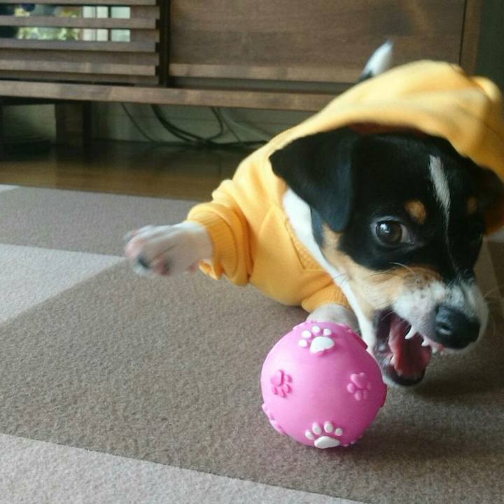 0b9de17f 68f8 4c2c 81e3 5b89c151097a 1511665004188