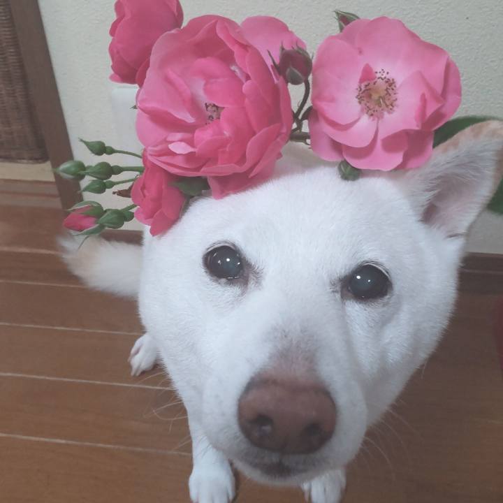 0b9e4714 836f 4824 be22 30c8dda07d25 1653267666389